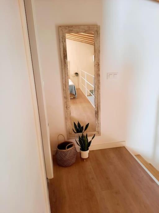 Апартаменти Loft Centrico Con Patio Bodega San Javier Херес-де-ла-Фронтера Екстер'єр фото